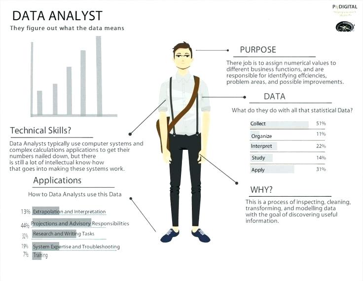 Data Analyst profile